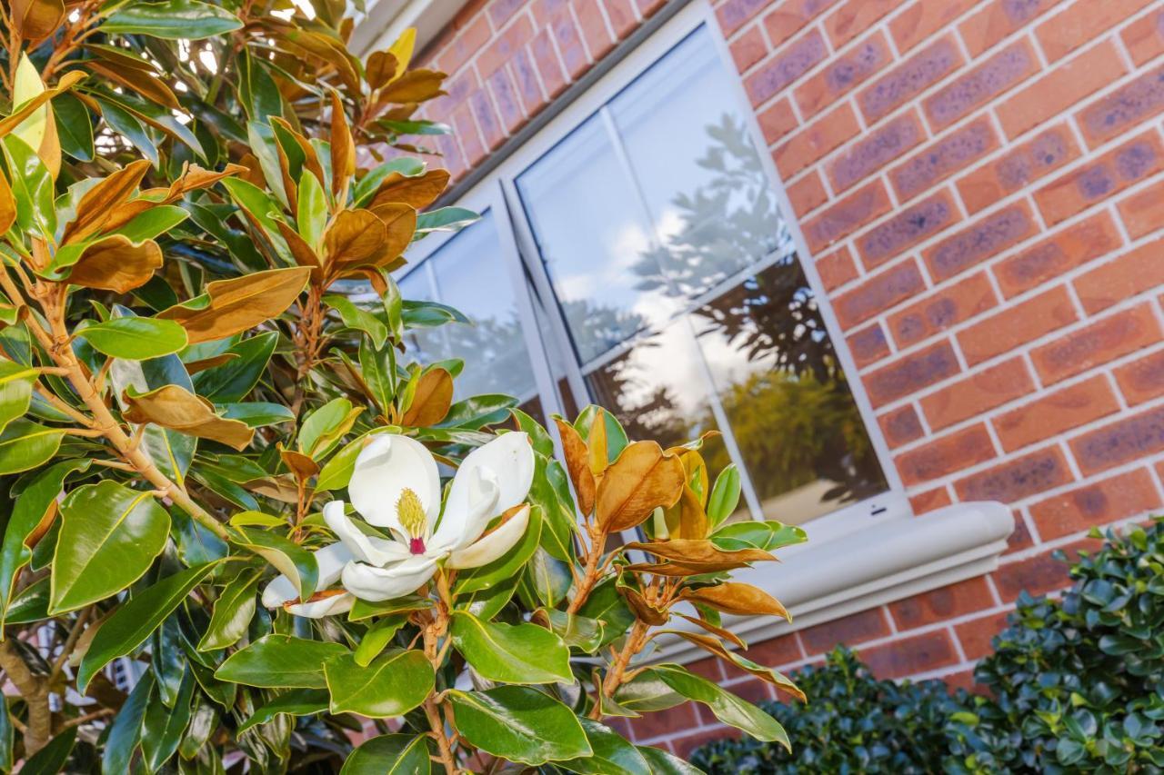 Sweet Magnolia 1 Or 2 Bedroom Suite St Kilda Cambridge With Complimentary Continental Breakfast מראה חיצוני תמונה